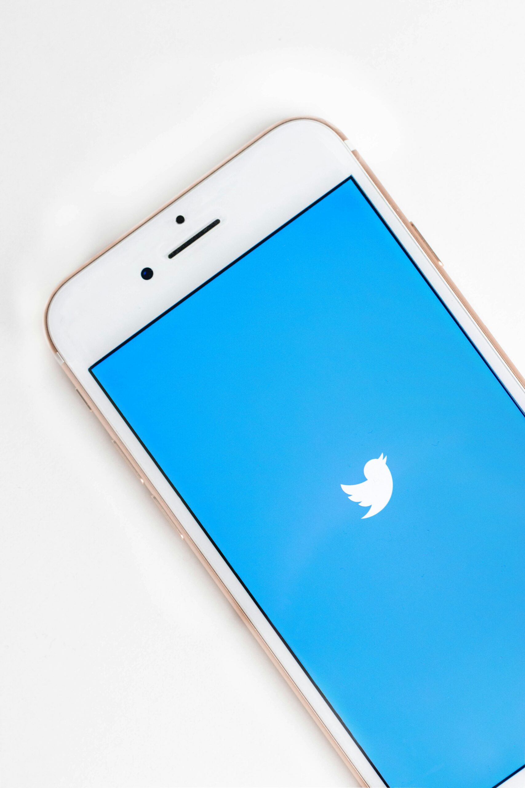 Twitter logo on smartphone screen